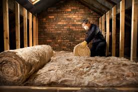 Best Attic Insulation Installation  in Aspermont, TX